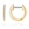 jewelry earrings
