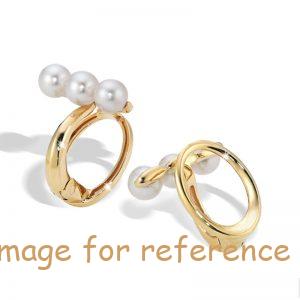 Custom earrings