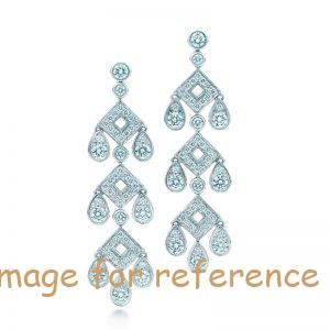 Custom earrings