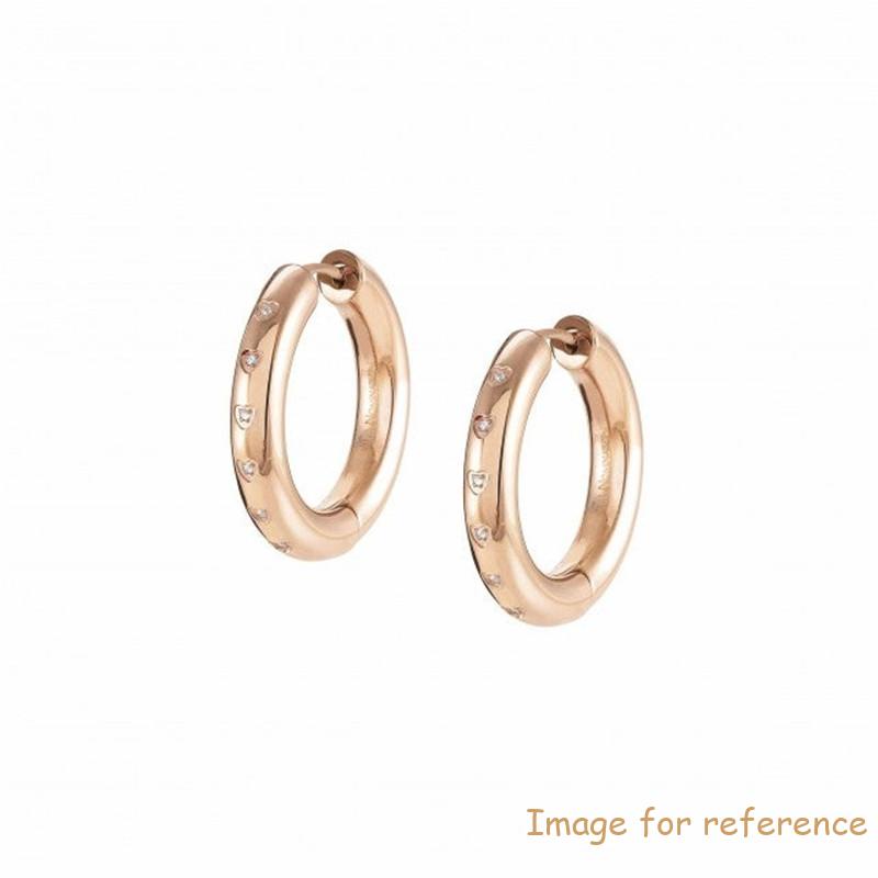 Latin America custom jewelry customer order Earrings in stainless steel with PVD finish
